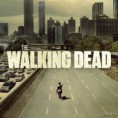 THE WALKING DEAD